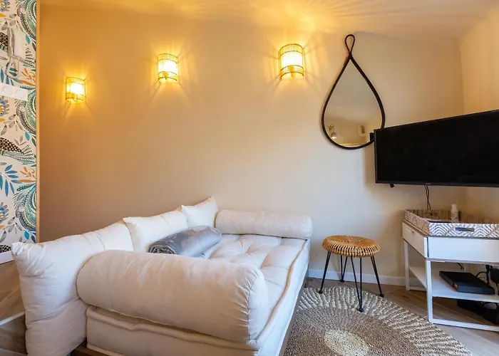 Le Saint Victor Scls - Wifi, Climatisation, Centre-ville * Cannes